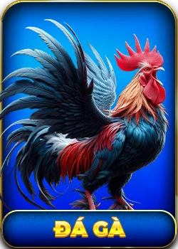 Đá gà live trực tiếp tại 99OK